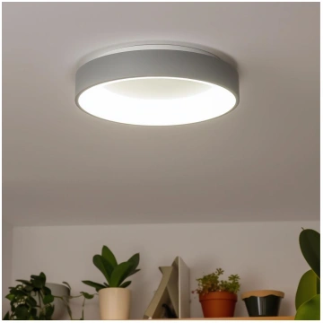 Brilagi - LED griestu gaismeklis FALCON ar regulēj