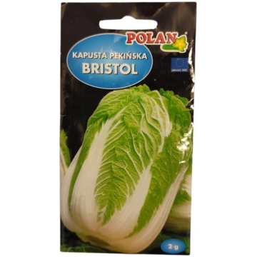 Ķīnas kāposts Bristol Polan