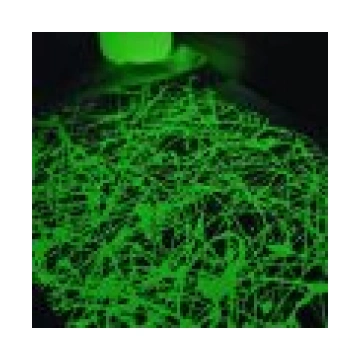 Plast PF additivo E (plastizolam)
