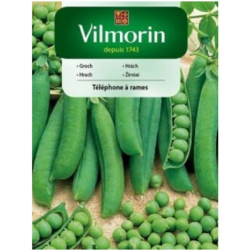 Zirņi saldie Telephone a Rames 40 g Vilmorin 10/20