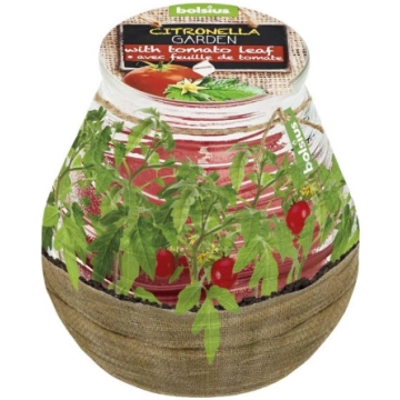 Svece bolsius Teracce Citronella, 94/91 mm, tomāts