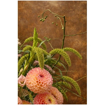 Setaria italica Foxtail Millet Seeds | Ornamental 