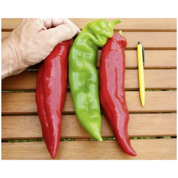 Paprika Estilo F1 50 sēklas Darzinam.lv