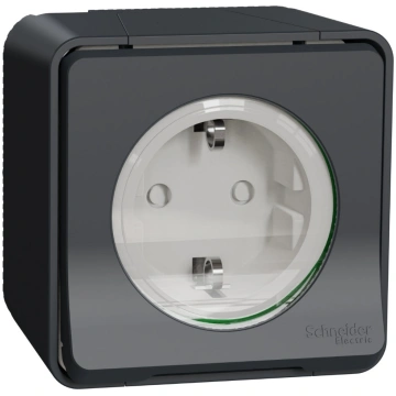 Kontaktligzda SCHNEIDER ELECTRIC MUREVA 1-vietīga 