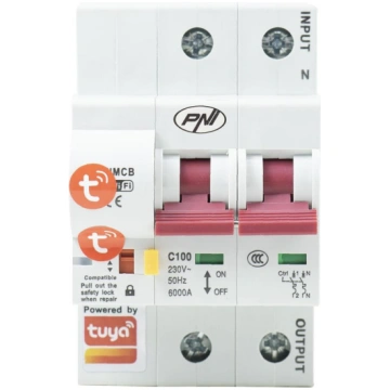 PNI SafeHome PT802P WiFi smart automatic fuse, 2P,