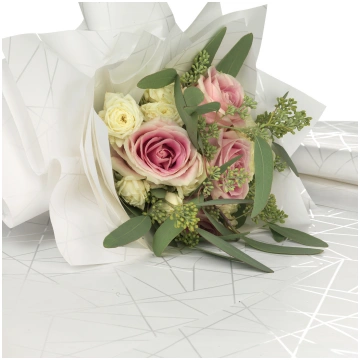 Modern pattern PE paper roll Casolaro Hotellerie S