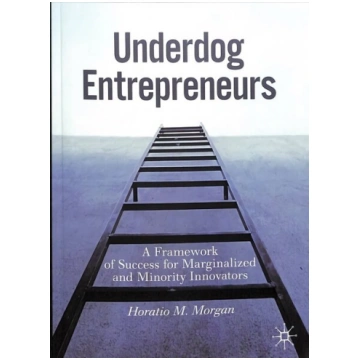 Underdog Entrepreneurs: A Framework of Success for