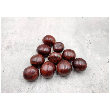 Brown Hamburger True Sea Beans Mucuna Sloanei (10 