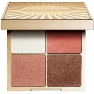 Clarins All-In-One Palette 12g Limited Edition 366