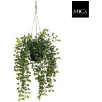 Mākslīgais Ficus podā, 1097781