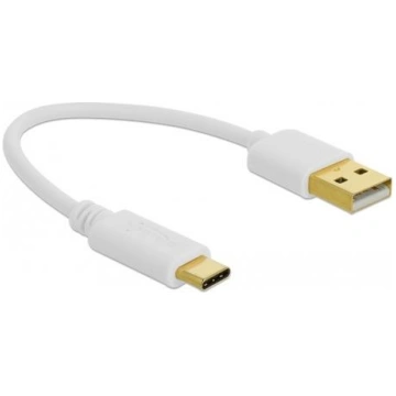 Delock USB Type-A to USB Type-C cable, 15cm, white