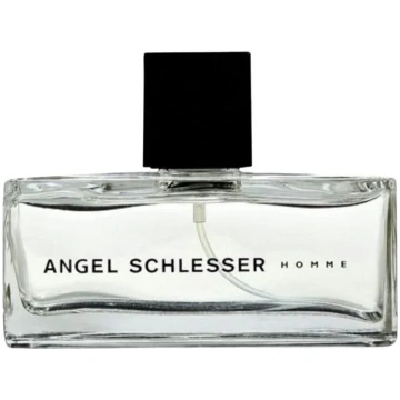 Tualetes ūdens Angel Schlesser Homme, 125 ml