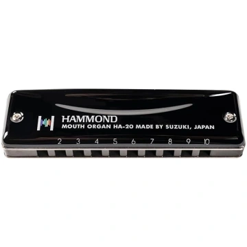 Suzuki Hammond ha20bb in B-Flat Harmonika 10 cauru