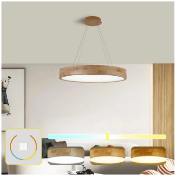 Brilagi - LED lustra uz troses FALCON WOOD LED/40W