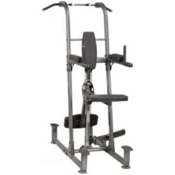 Trenažieris BODYSOLID Dip un Pull Up Station