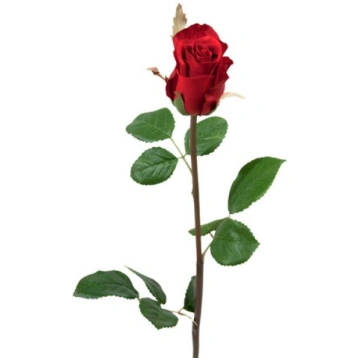Roze 50cm sarkana 1 zieds