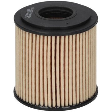 Eļļas filtrs FILTRON OE 655