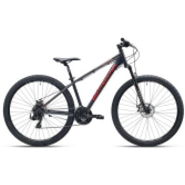 BOTTECCHIA 109 MERIDA