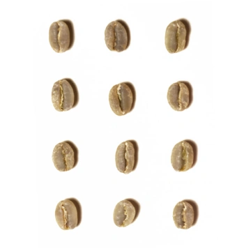 Kenija / Kariru Top AA zaļā kafija, 500gr