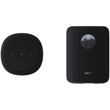 WiiM LPWISND Sound Smart Speaker, schwarz | WiiMso