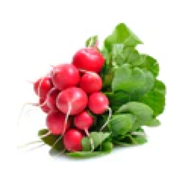 Redīsi sarkani fasēti 500gr 1.šķira, Itālija (mērv