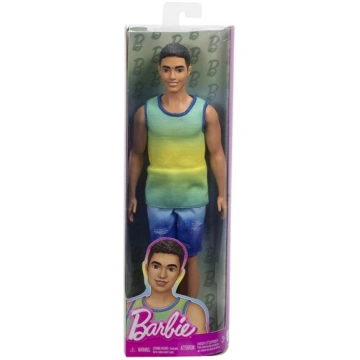 Lelle Mattel Barbie Ken HYV00, 30 cm