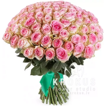 101 Rozā roze 50cm SUPER CENA Rozā rozes