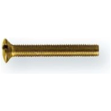 Skrūve 5x40mm, matēts misiņš P.BISSCHOP
