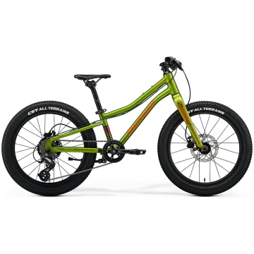 Velosipēds Merida MATTS J.20+ I2 FALL GREEN(RED/BL