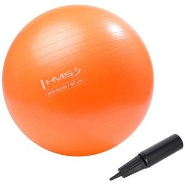 YB02N 55CM ORANGE GYM BALL HMS