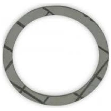 Baxi blīve 1"" 42x32x1, 194003005