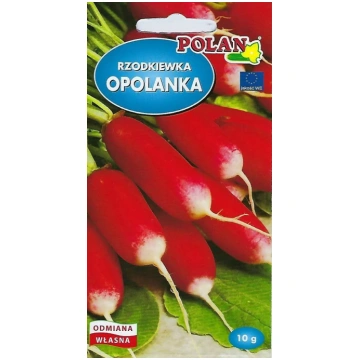 Sēklas Toraf Rzodkiew Opolanka wczesna – dārza red