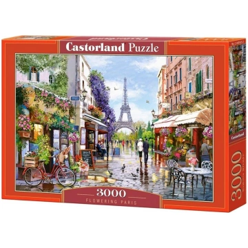 Castorland Puzzle 3000 Fowering Paris CASTOR 34137