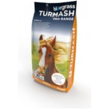 Turmash