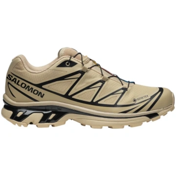 XT-6 GTX Shoes Safari/Safari - 40