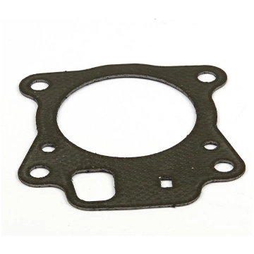 Cilindra galvas blīve Briggs&Stratton 796475; 1 ga