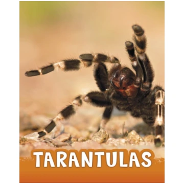Tarantulas Bookshop