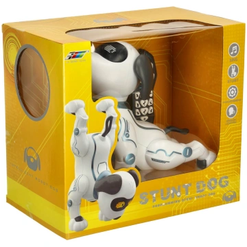 RC robots suns lec pastaigas