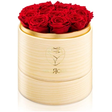 Amoroses Superior 12 reālas stabilizētas rozes ar 