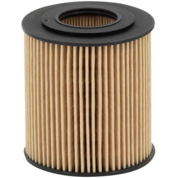 Eļļas filtrs BMW 01-12 FILTRON OE649/6