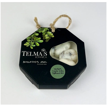 Telmas Botanica, sojas vaska aromatizētājs ar eika