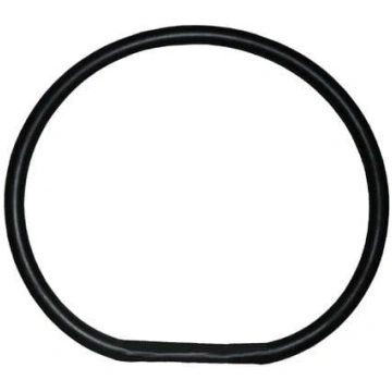 AMG SRL Gumijas blīve AMG SRL 4362