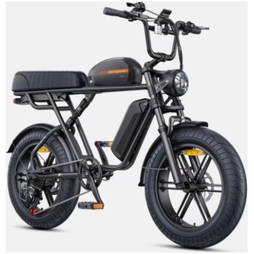 ENGWE M1 DUAL MELNS