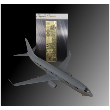 Lietots - Boeing 737-800 (designed to be used with