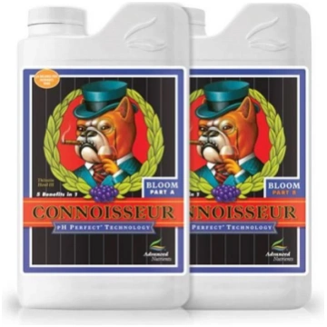 2x1L Amnesia.lt