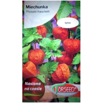 Fizālis 0.5 g Torseed 10/2027; 10/2028(5) atl.0