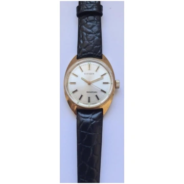 Citizen - Silver, 1969