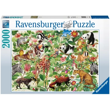 RAVENSBURGER puzle Jungle, 2000gab., 16824 RAVENSB