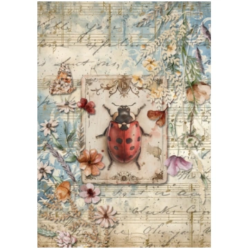 Iveta Ziedina - Ladybird 0861 Decoupage queen