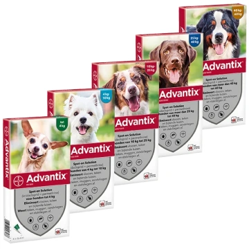 Advantix Spot-on suņiem N4 Bayer Animal Health